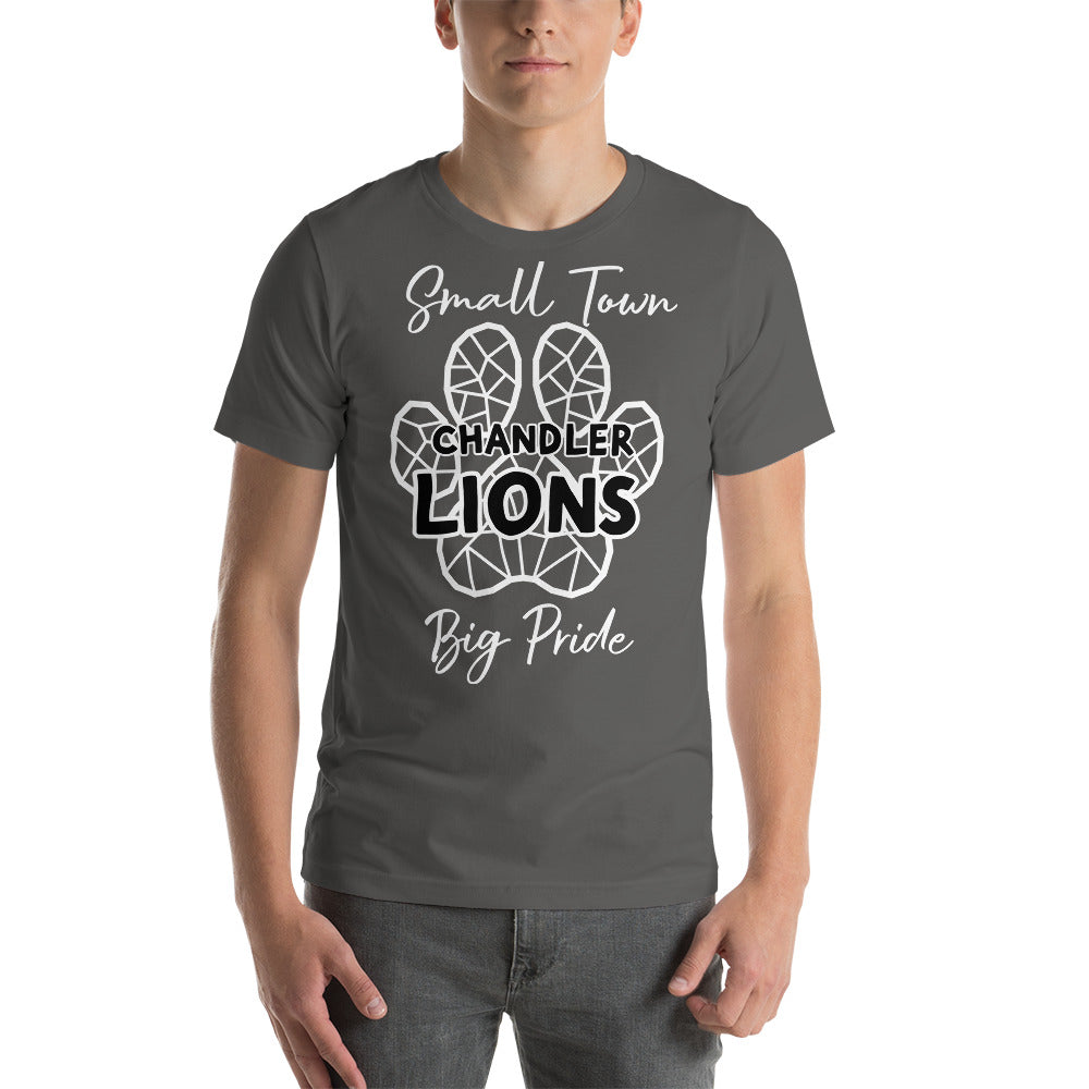 Lions Unisex t-shirt (Stained Glass Little Town)