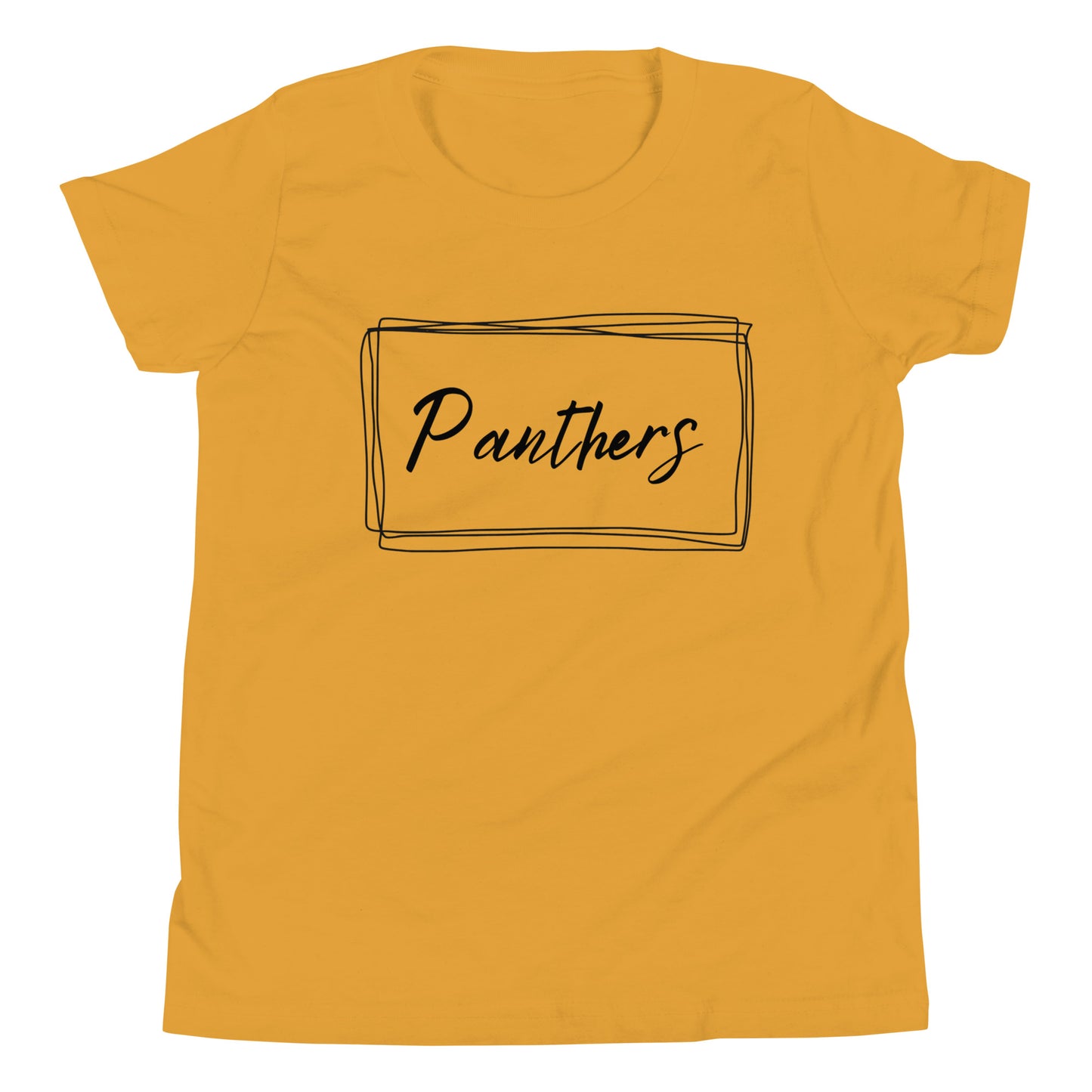 Panthers Youth Short Sleeve T-Shirt (simple box)